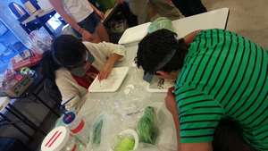 Hands-On Science & Technology AfterSchool Programs