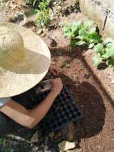 Reaping the fruits of our labor