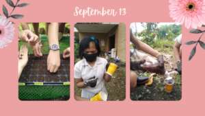 Urban Farming and Horticultural Therapy