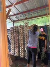 Misting columns of fruiting bags