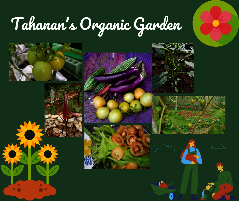 Tahanan's organic farm garden