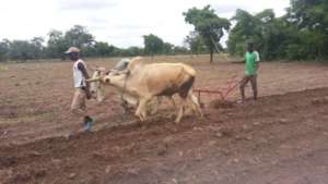 Students working during their training 2