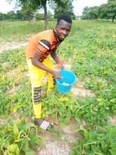 Happy student harvesting beans