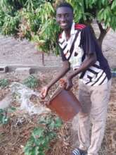 watering vegetables 2