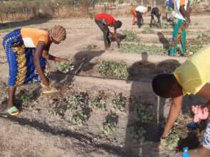 work in the garden