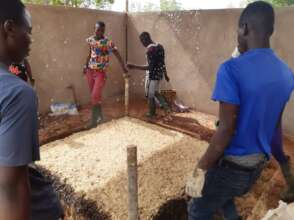 Layer of manure and burkina phosphate