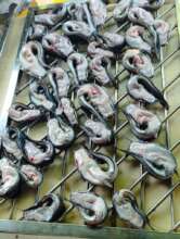 Cat fish before smoking