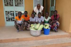 Harvest of the first zuchini