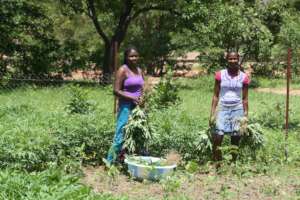 students in the garden