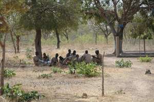 Students under a tree preparing their lessons.