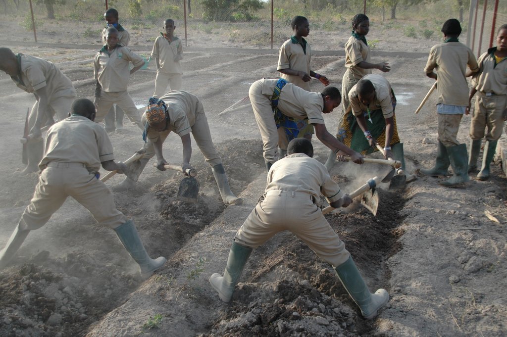 Send a poor child to an agricultural school