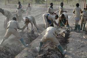 Students working in the garden