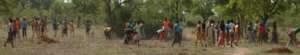 Students working in the field