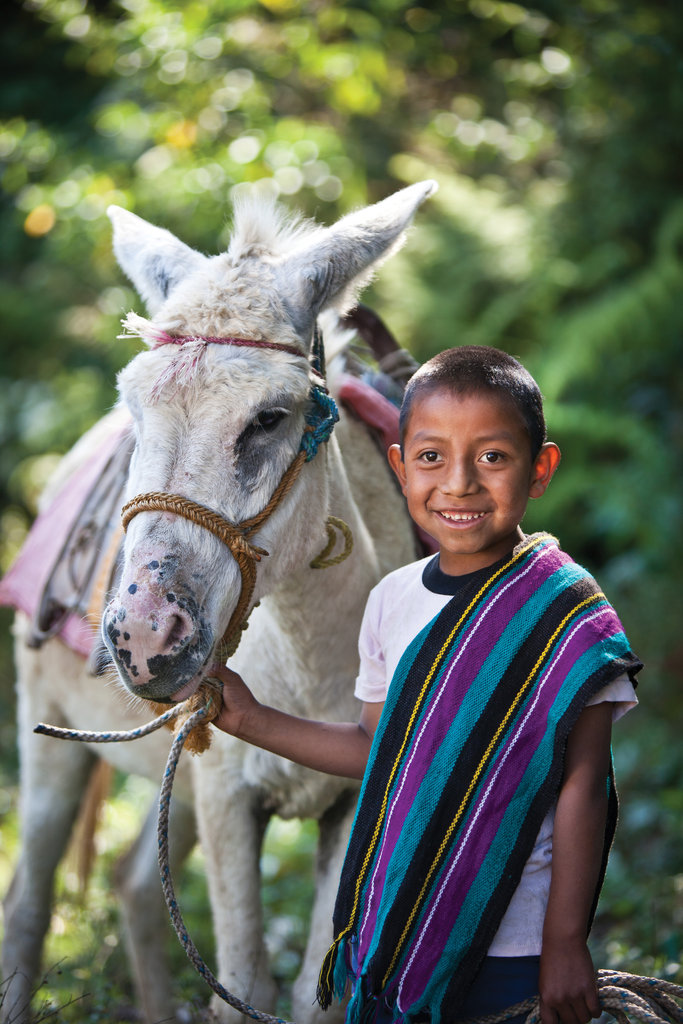 Buy a Camel, Help Combat Poverty