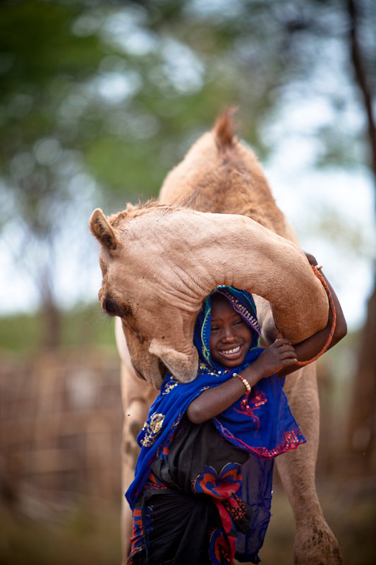 Buy a Camel, Help Combat Poverty