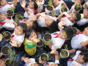 Planting seeds