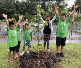 Hawai'i Island students with a new soursop tree