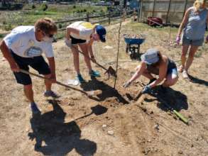 Keeping safe planting Denver's newest orchards