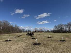 A school orchard planted in Mississippi in 2025