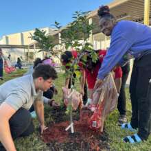 A schoolyard orchard planted in Hollywood, FL