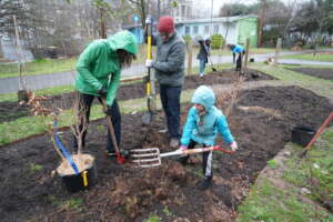 The largest food forest planted in Washington D.C.