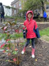 Langley student with a newly planted aronia berry