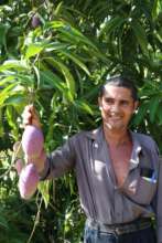 Jose with his mangos