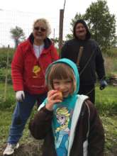 Cassidy enjoying  an apple with her new apple tree