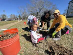 Orchard planting at Midtown Charter School in May