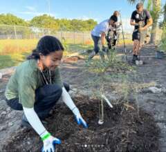 School orchard plantings in Florida
