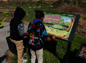 Students exploring their thriving orchard in D.C.