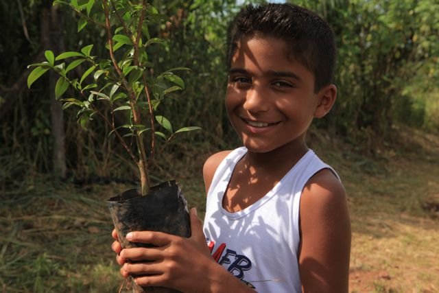 Planting orchards for schoolchildren worldwide
