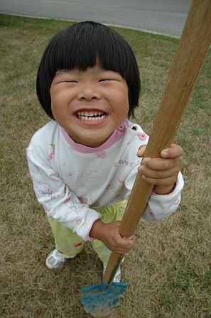 Planting orchards for schoolchildren worldwide