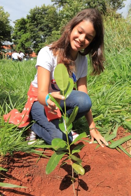 Planting orchards for schoolchildren worldwide
