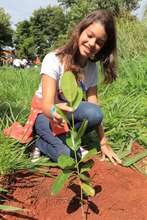 Brazilian student admiring the tree just planted