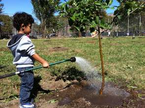 Fruit Tree 101 student participant