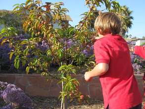 Fruit Tree 101 student enjoying peaches