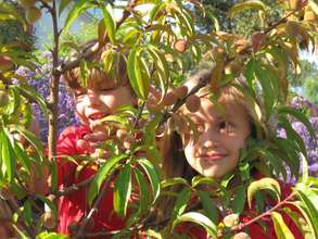 Fruit Tree 101 student participants