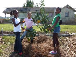 Students in New Orleans enjoying an orange harvest