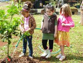 Important task for newly planted trees