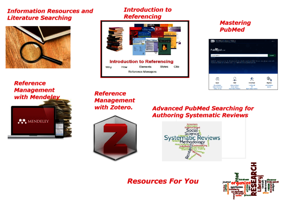 QMedCourses