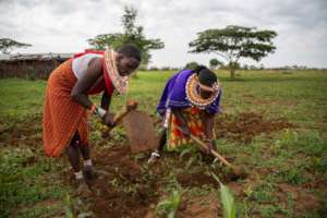 Women digging farms to provide food.