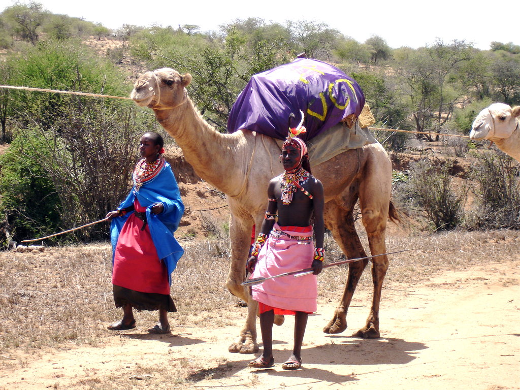 Reduce Suffering in Kenya Via Health Care Services