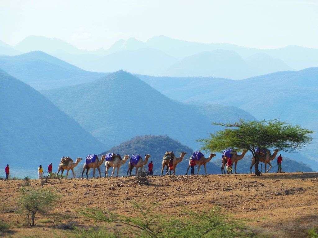 Reduce Suffering in Kenya Via Health Care Services