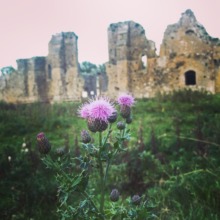 Ancient abbey crumbling in the fields