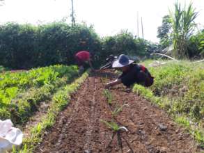 Learning at the farm