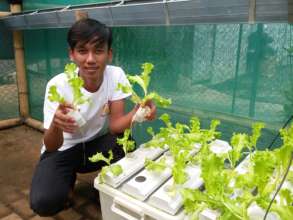 Hydroponic