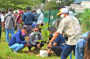Visitors are planting trees in TLF yard