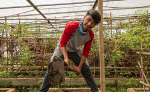 Ali Najibi practices in the farm