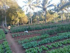 The organic farm